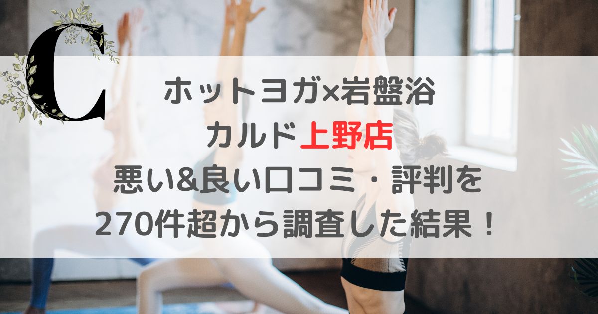 カルド上野店の悪い&良い口コミ・評判レビューを273件から調査した結果!